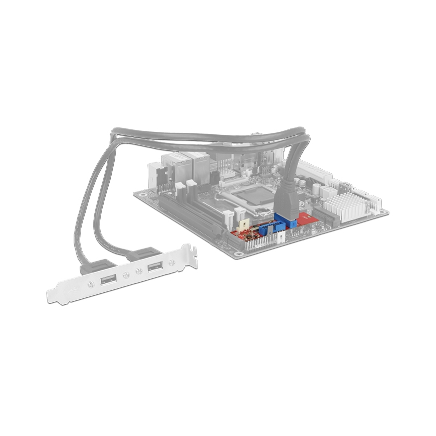 DeLOCK 62843 liitäntäkortti/-sovitin Sisäinen USB 3.2 Gen 1 (3.1 Gen 1) – 3