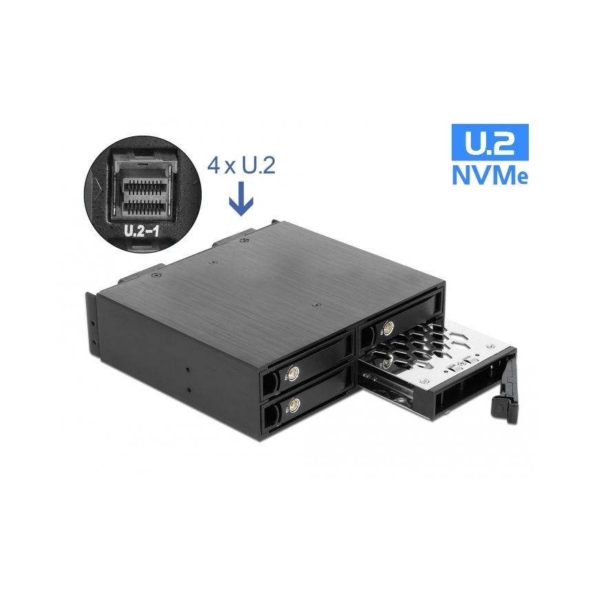 DeLOCK 5.25″ Mobile Rack for 4 x 2.5″ U.2 NVMe SSD with lockable Trays – 2