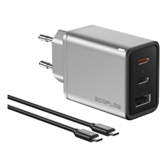 EcoFlow RAPID 65 W Universāls Sudrabs AC Ātrā uzlāde Iekštelpas