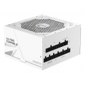 GIGABYTE UD750GM PG5 V2 ICE блок питания 750 W 20+4 pin ATX ATX Белый