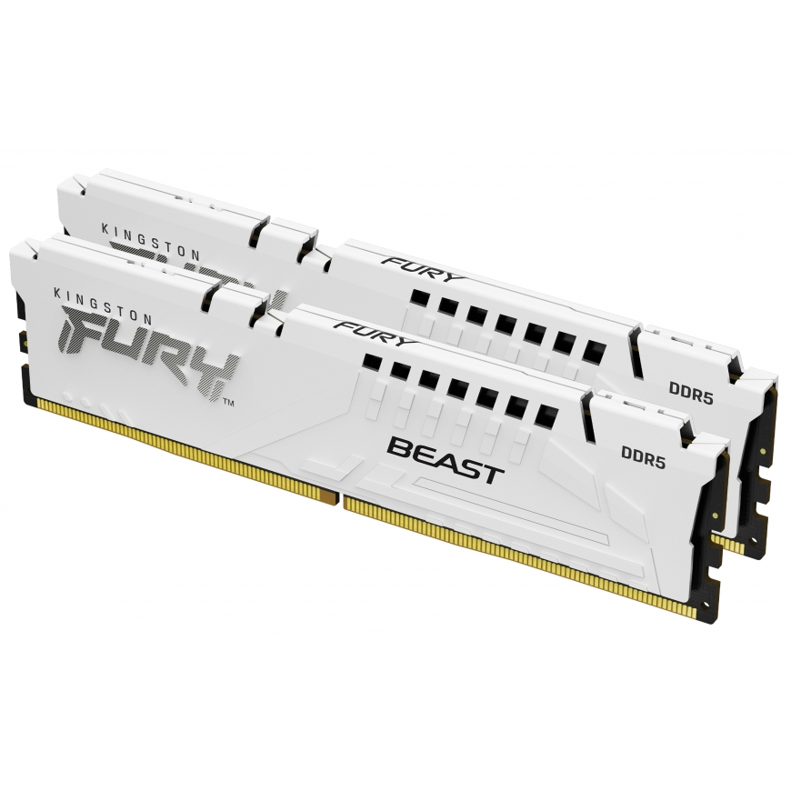 Kingston Technology Kingston Technology FURY Beast