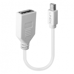 Lindy 41021 „DisplayPort“ kabelis 0,15 m Mini DisplayPort Balta
