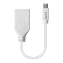 Lindy 0.20m Mini DisplayPort to DisplayPort Adapter Cable Lindy 0.20m Mini DisplayPort to DisplayPort Adapter Cable