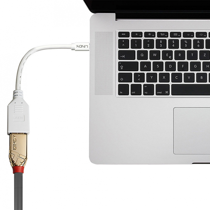 Lindy 0.20m Mini DisplayPort to DisplayPort Adapter Cable – 3
