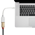 Lindy 41021 DisplayPort-kaapeli 0,15 m Mini DisplayPort Valkoinen Lindy 41021 DisplayPort-kaapeli 0,15 m Mini DisplayPort Valkoinen