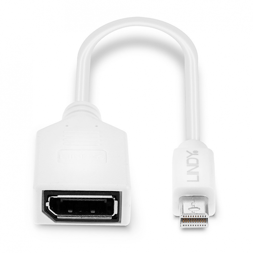 Lindy 0.20m Mini DisplayPort to DisplayPort Adapter Cable – 4