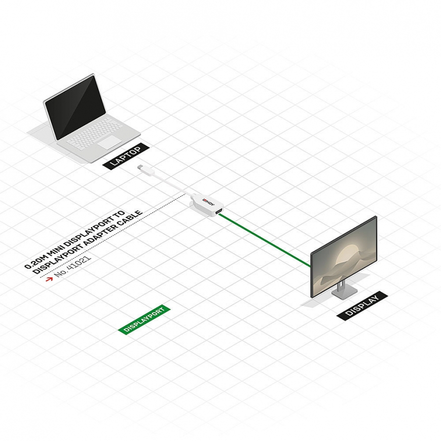 Lindy 0.20m Mini DisplayPort to DisplayPort Adapter Cable – 5