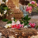 Gucci Bloom 50 ml Naisten Gucci Bloom 50 ml Naisten
