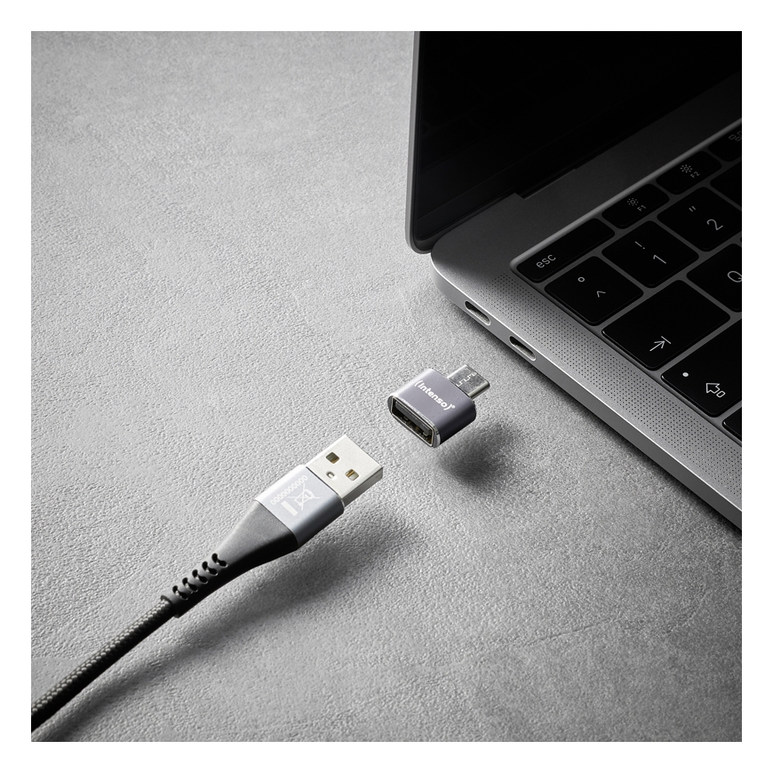 Intenso 7600113 kaapelin sukupuolenvaihtaja USB-A USB-C Antrasiitti – 5