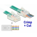 DeLOCK 86451 juhtmepistmik RJ-45 Läbipaistev