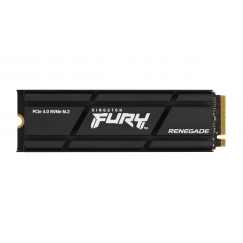 Kingston Technology 1000G RENEGADE PCIe 4.0 NVMe SSD W/ HEATSINK