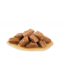 Royal Canin Medium Adult Gaļa Pieaudzis suns 140 g