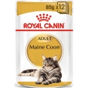 Royal Canin 9003579001202 mitrā kaķu barība 85 g Royal Canin 9003579001202 mitrā kaķu barība 85 g
