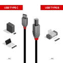 Lindy 36943 USB-kaapeli USB 2.0 3 m USB C USB B Musta Lindy 36943 USB-kaapeli USB 2.0 3 m USB C USB B Musta