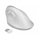 DeLOCK 12596 mouse Office Right-hand RF Wireless 1600 DPI