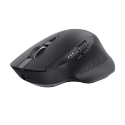 Trust Ozaa+ pele Birojs Labā roka RF bezvadu sakari + Bluetooth Optisks 3200 DPI Trust Ozaa+ pele Birojs Labā roka RF bezvadu sakari + Bluetooth Optisks 3200 DPI