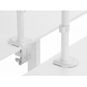 Equip 650167 monitoriaus laikiklis arba stovas 81,3 cm (32") Stalas Balta Equip 650167 monitoriaus laikiklis arba stovas 81,3 cm (32") Stalas Balta