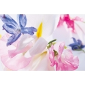 Dior Miss 2021 Eau De Parfum 30ml