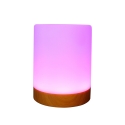RealPower 463601 night-light Ambiance lighting