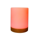 RealPower 463601 öölamp Meeleoluvalgustus RealPower 463601 öölamp Meeleoluvalgustus
