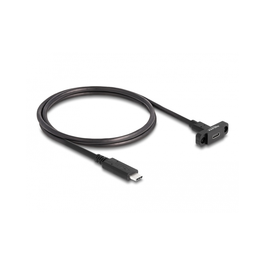 DeLOCK SuperSpeed USB 10 Gbps (USB 3.2 Gen 2) Cable USB Type-C male to female 1 m panel-mount black
