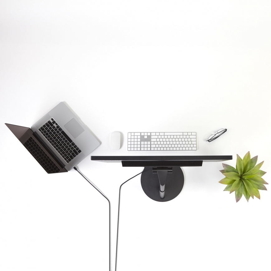 StarTech.com MDP2DPMM6 „DisplayPort“ kabelis 1,8 m Mini DisplayPort Juoda – 2
