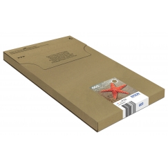 Epson Multipack 4-colours 603 EasyMail