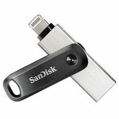 SanDisk SDIX60N-256G-GN6NE USB atmintukas 256 GB 3.2 Gen 1 (3.1 Gen 1) Pilka, Sidabras