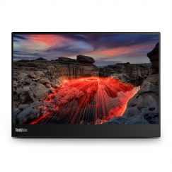 Lenovo ThinkVision M14t Gen 2 computer monitor