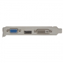 AFOX AF240-1024D3L2 vaizdo plokštė NVIDIA GeForce GT 240 1 GB GDDR3 AFOX AF240-1024D3L2 vaizdo plokštė NVIDIA GeForce GT 240 1 GB GDDR3