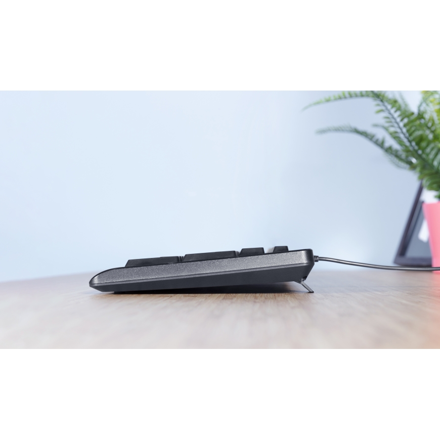 Trust TK-150 клавиатура Офисная USB QWERTZ Немецкий Черный – 5