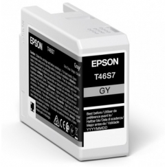 Epson UltraChrome Pro tintes kārtridžs 1 pcs Oriģināls Pelēks