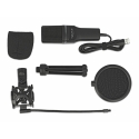 DeLOCK USB Condenser Microphone Set - for Podcasting, Gaming and Vocals