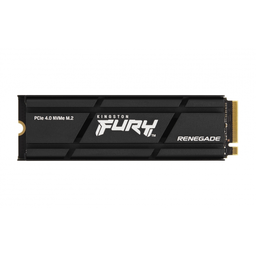 Kingston Technology Kingston Technology FURY Renegade