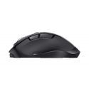 Trust Fyda kompiuterio pelė Biuras Dešinės rankos RF Wireless + USB Type-A Optinis 2400 DPI Trust Fyda kompiuterio pelė Biuras Dešinės rankos RF Wireless + USB Type-A Optinis 2400 DPI