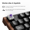 Keychron K10 HE klaviatuur Mängimine USB + RF Wireless + Bluetooth QWERTY Inglise Must, Puit Keychron K10 HE klaviatuur Mängimine USB + RF Wireless + Bluetooth QWERTY Inglise Must, Puit