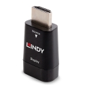 Lindy 38194 kaapelin sukupuolenvaihtaja HDMI Type A (Standard) VGA Musta