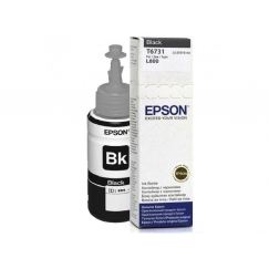 Epson T6731 Подлинный