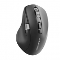 ALOGIC AMBT7KBK компьютерная мышь Дома Для правой руки РЧ беспроводной + Bluetooth 6400 DPI ALOGIC AMBT7KBK компьютерная мышь Дома Для правой руки РЧ беспроводной + Bluetooth 6400 DPI