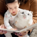 Warmies CP-HAM-1 stuffed toy