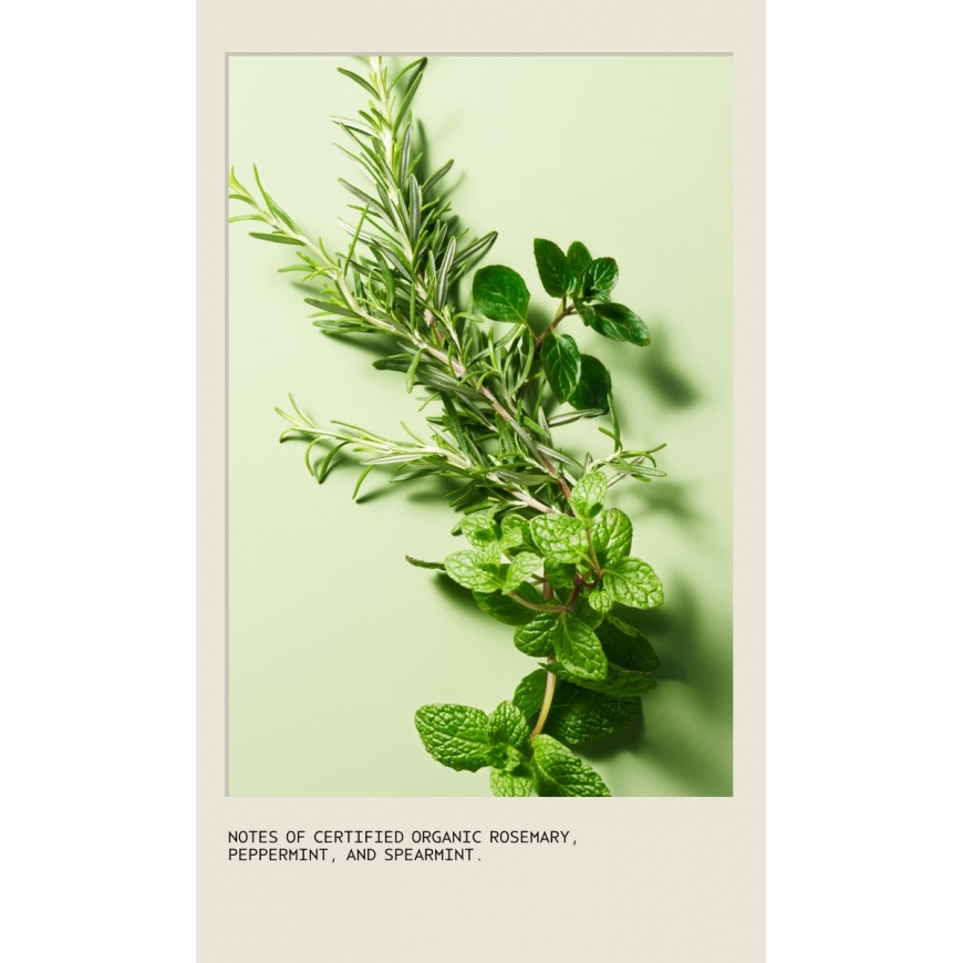 Aveda Rosemary mint weightless conditioner – 5