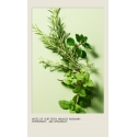 Aveda Rosemary mint weightless conditioner Aveda Rosemary mint weightless conditioner