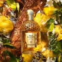 Guerlain Aqua Allegoria Oud Yuzu Forte 75 ml Naised Guerlain Aqua Allegoria Oud Yuzu Forte 75 ml Naised