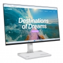 Lenovo L24D-4C computer monitor 60.5 cm (23.8") 1920 x 1080 pixels Full HD LCD Grey