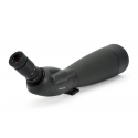 Celestron TrailSeeker 100-45 Degree подзорная труба 67x BaK-4 Черный Celestron TrailSeeker 100-45 Degree подзорная труба 67x BaK-4 Черный