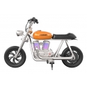 HYPER GOGO Pioneer 12 Plus Oranž Teras Üks suurus 15,6 kg Liitiumioon (Li-Ion) HYPER GOGO Pioneer 12 Plus Oranž Teras Üks suurus 15,6 kg Liitiumioon (Li-Ion)