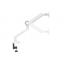 Equip 650185 monitori kinnitus ja alus 88,9 cm (35") Laud Valge Equip 650185 monitori kinnitus ja alus 88,9 cm (35") Laud Valge