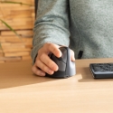 R-Go Tools Ergonomic mouse R-Go HE Break with break software, large (hand size ≥ 185 mm), right-hand R-Go Tools Ergonomic mouse R-Go HE Break with break software, large (hand size ≥ 185 mm), right-hand