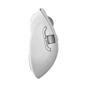 ALOGIC Apex pele Birojs Labā roka RF bezvadu sakari + Bluetooth 6400 DPI ALOGIC Apex pele Birojs Labā roka RF bezvadu sakari + Bluetooth 6400 DPI
