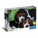 Clementoni High Quality Collection Close Together Dėlionė 500 vnt Gyvūnai Clementoni High Quality Collection Close Together Dėlionė 500 vnt Gyvūnai